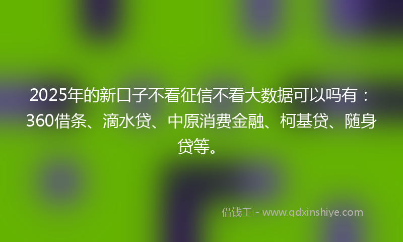 2025年的新口子不看征信不看大数据可以吗有：360借条、滴水贷、中原消费金融、柯基贷、随身贷等。