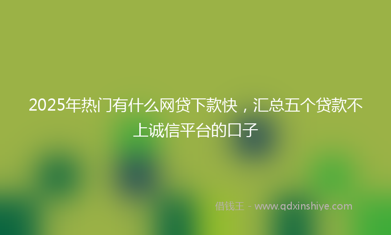 2025年热门有什么网贷下款快，汇总五个贷款不上诚信平台的口子