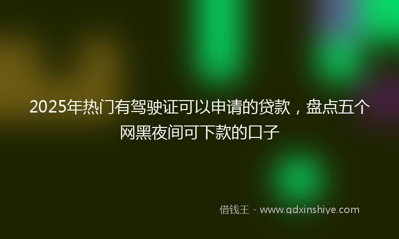 2025年热门有驾驶证可以申请的贷款，盘点五个网黑夜间可下款的口子
