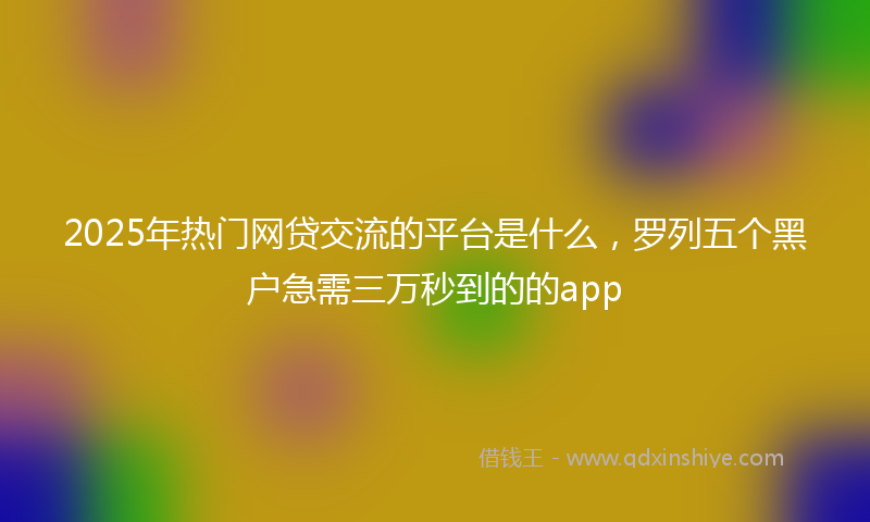 2025年热门网贷交流的平台是什么，罗列五个黑户急需三万秒到的的app