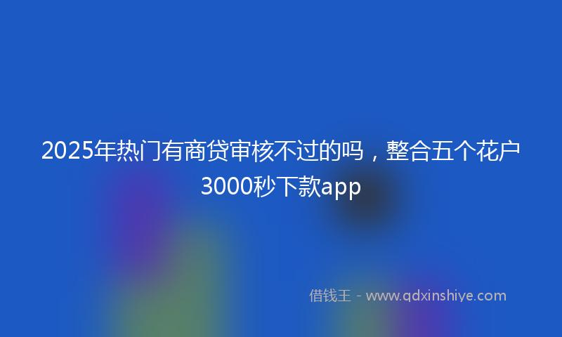 2025年热门有商贷审核不过的吗，整合五个花户3000秒下款app