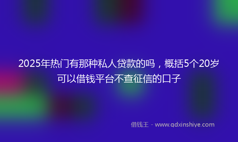 2025年热门有那种私人贷款的吗，概括5个20岁可以借钱平台不查征信的口子