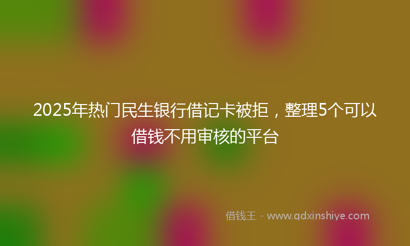 2025年热门民生银行借记卡被拒，整理5个可以借钱不用审核的平台