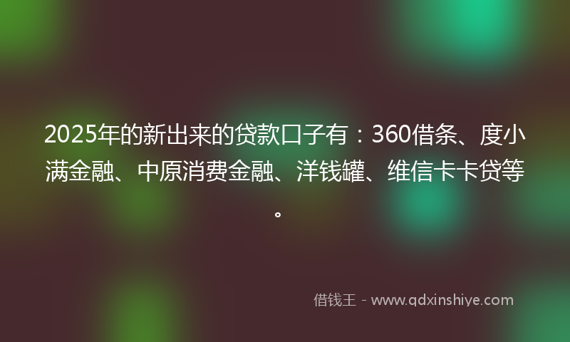 2025年的新出来的贷款口子有：360借条、度小满金融、中原消费金融、洋钱罐、维信卡卡贷等。