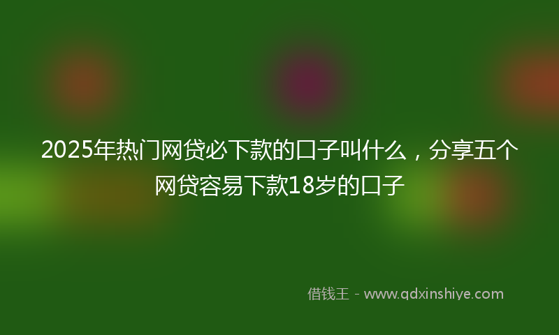 2025年热门网贷必下款的口子叫什么，分享五个网贷容易下款18岁的口子