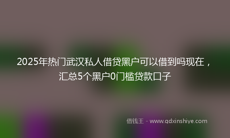 2025年热门武汉私人借贷黑户可以借到吗现在，汇总5个黑户0门槛贷款口子