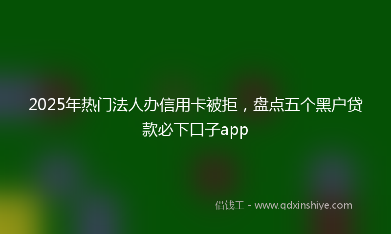 2025年热门法人办信用卡被拒，盘点五个黑户贷款必下口子app
