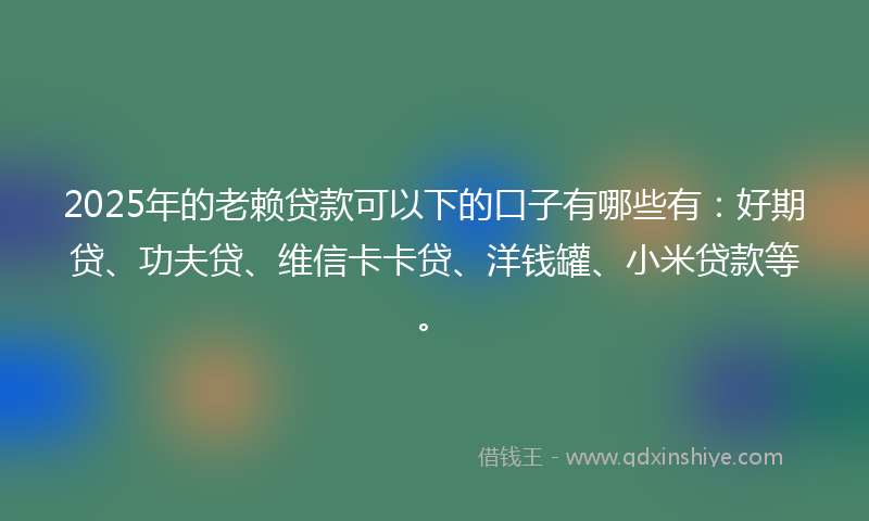 2025年的老赖贷款可以下的口子有哪些有：好期贷、功夫贷、维信卡卡贷、洋钱罐、小米贷款等。