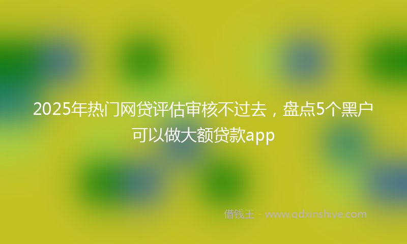 2025年热门网贷评估审核不过去，盘点5个黑户可以做大额贷款app
