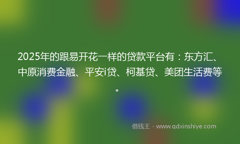 2025年的跟易开花一样的贷款平台有：东方汇、中原消费金融、平安i贷、柯基贷、美团生活费等。