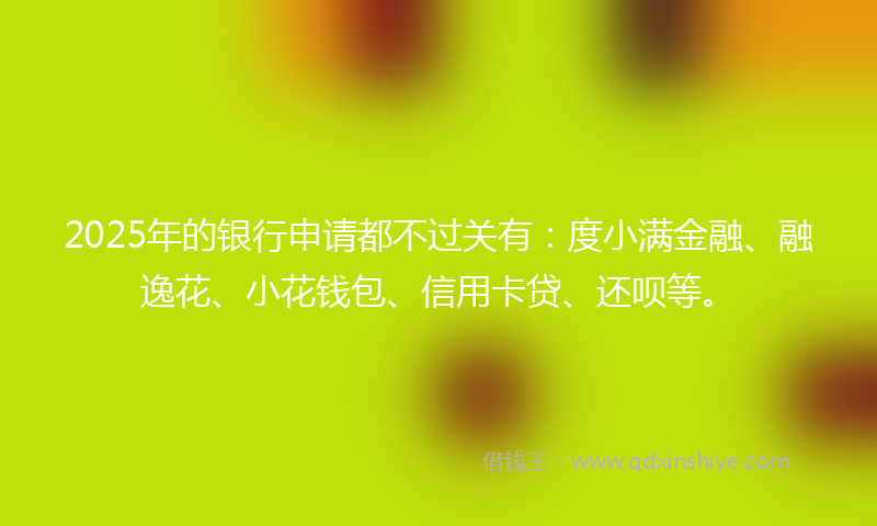 2025年的银行申请都不过关有：度小满金融、融逸花、小花钱包、信用卡贷、还呗等。