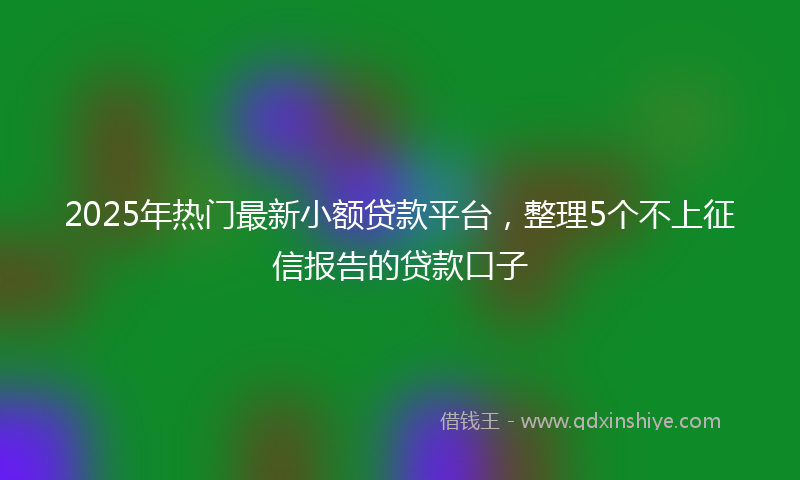 2025年热门最新小额贷款平台，整理5个不上征信报告的贷款口子