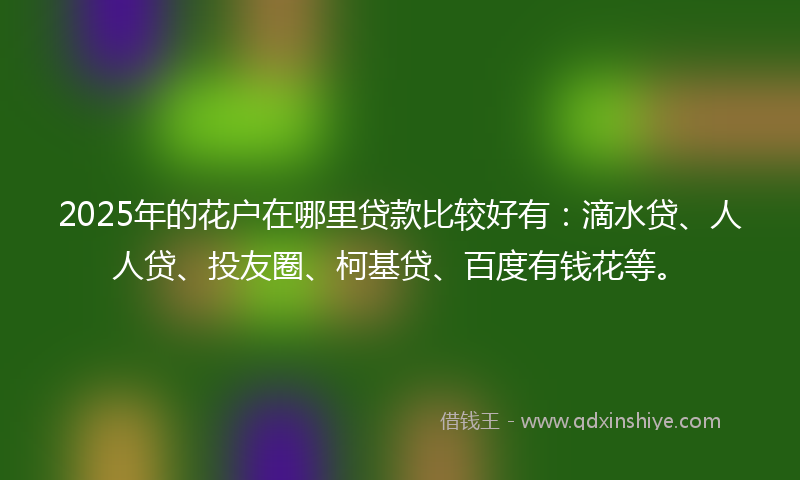 2025年的花户在哪里贷款比较好有：滴水贷、人人贷、投友圈、柯基贷、百度有钱花等。