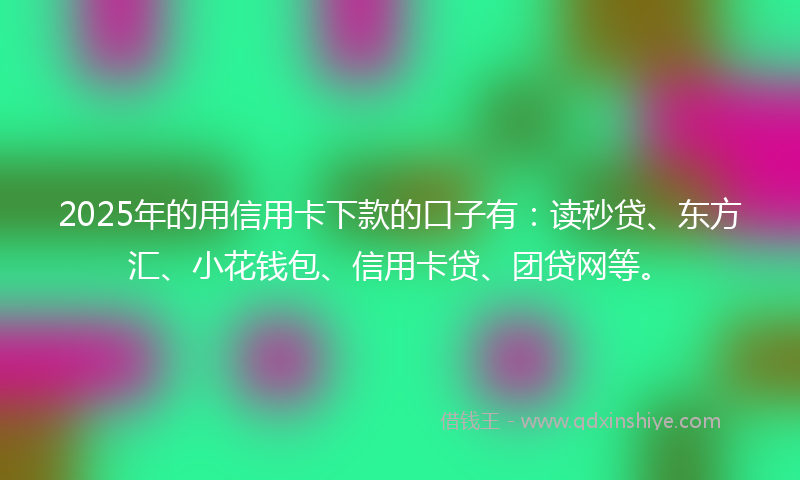 2025年的用信用卡下款的口子有：读秒贷、东方汇、小花钱包、信用卡贷、团贷网等。