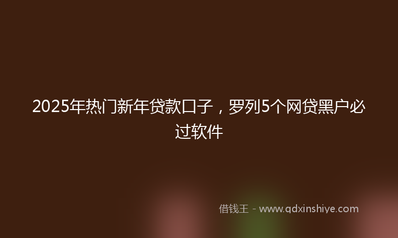 2025年热门新年贷款口子，罗列5个网贷黑户必过软件