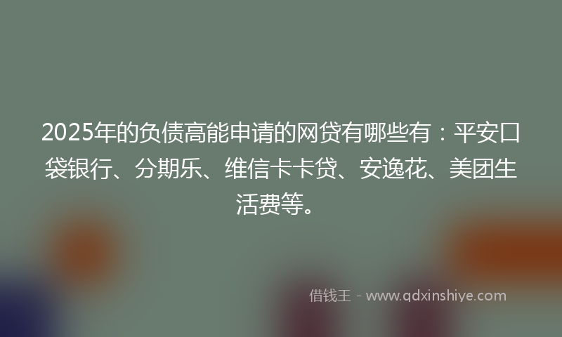 2025年的负债高能申请的网贷有哪些有：平安口袋银行、分期乐、维信卡卡贷、安逸花、美团生活费等。