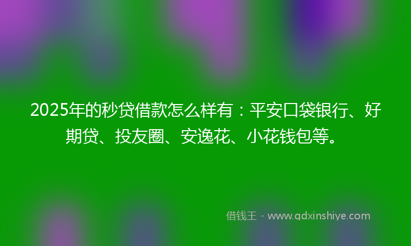 2025年的秒贷借款怎么样有：平安口袋银行、好期贷、投友圈、安逸花、小花钱包等。