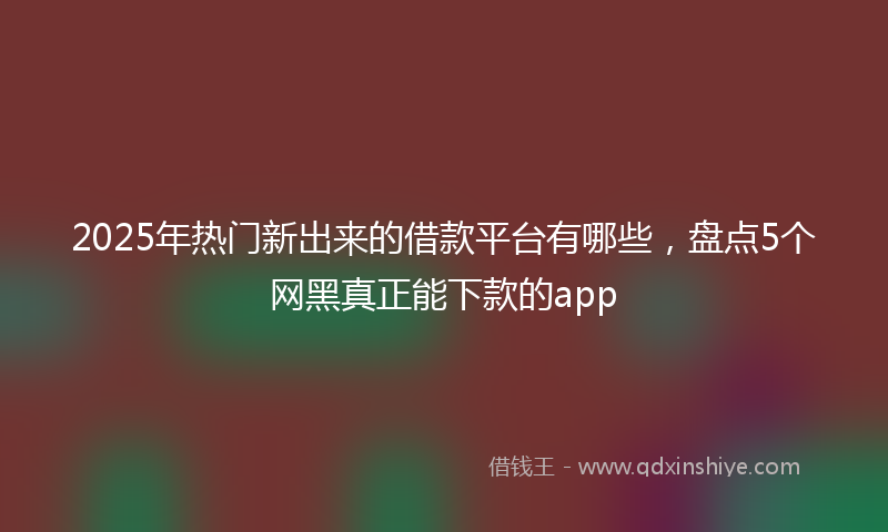 2025年热门新出来的借款平台有哪些，盘点5个网黑真正能下款的app