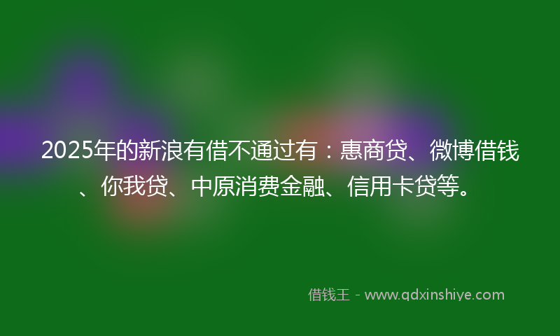 2025年的新浪有借不通过有：惠商贷、微博借钱、你我贷、中原消费金融、信用卡贷等。