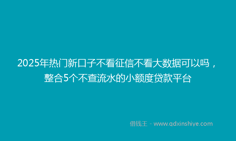 2025年热门新口子不看征信不看大数据可以吗，整合5个不查流水的小额度贷款平台
