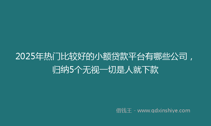 2025年热门比较好的小额贷款平台有哪些公司，归纳5个无视一切是人就下款