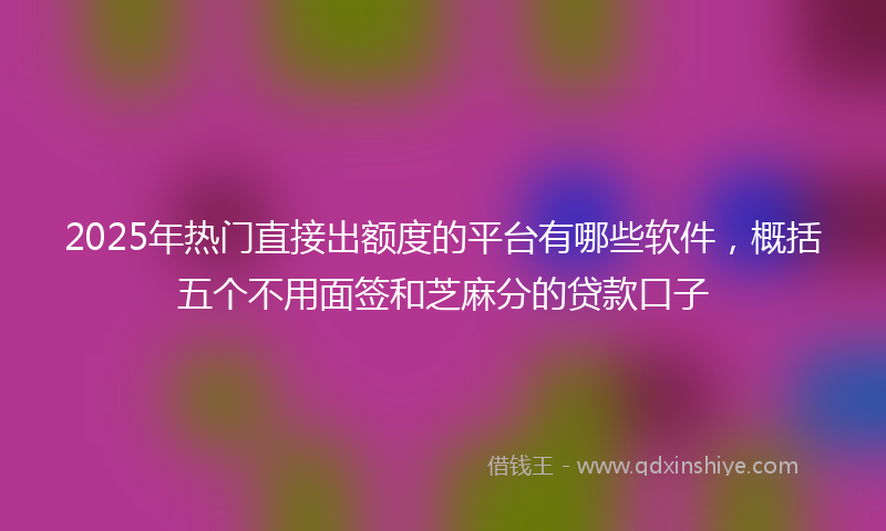 2025年热门直接出额度的平台有哪些软件，概括五个不用面签和芝麻分的贷款口子