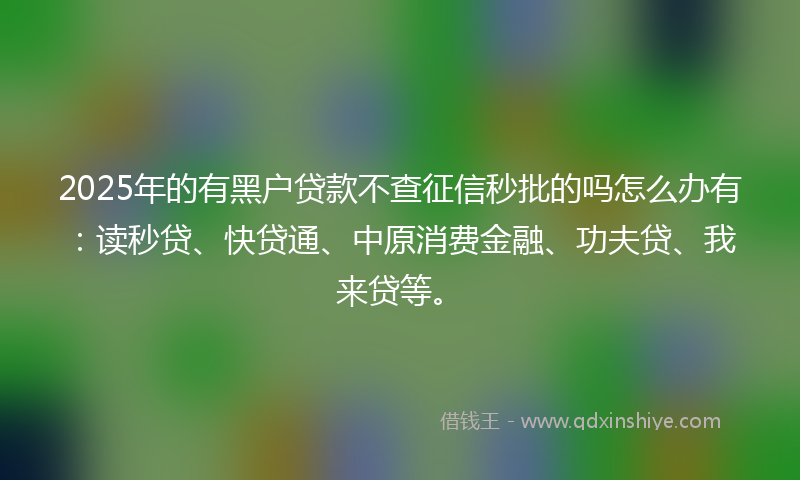 2025年的有黑户贷款不查征信秒批的吗怎么办有：读秒贷、快贷通、中原消费金融、功夫贷、我来贷等。
