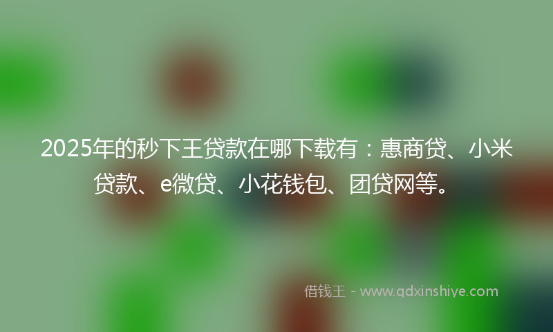 2025年的秒下王贷款在哪下载有：惠商贷、小米贷款、e微贷、小花钱包、团贷网等。
