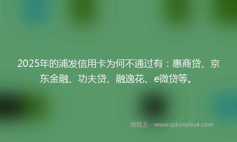 2025年的浦发信用卡为何不通过有：惠商贷、京东金融、功夫贷、融逸花、e微贷等。