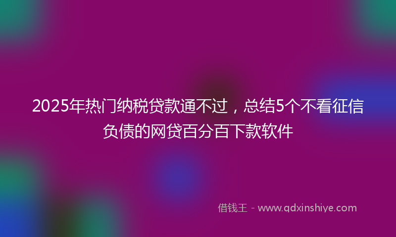 2025年热门纳税贷款通不过，总结5个不看征信负债的网贷百分百下款软件