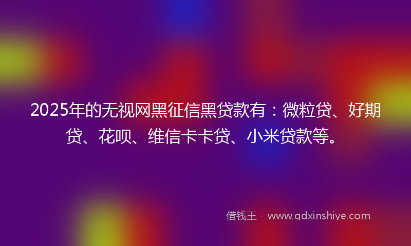 2025年的无视网黑征信黑贷款有：微粒贷、好期贷、花呗、维信卡卡贷、小米贷款等。