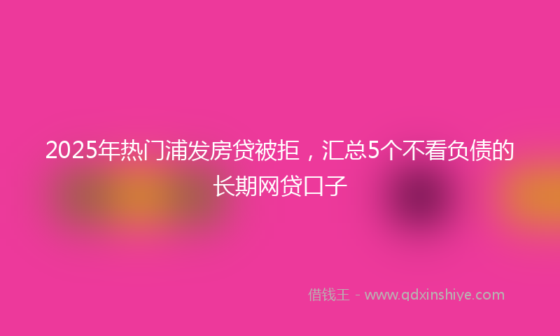2025年热门浦发房贷被拒，汇总5个不看负债的长期网贷口子