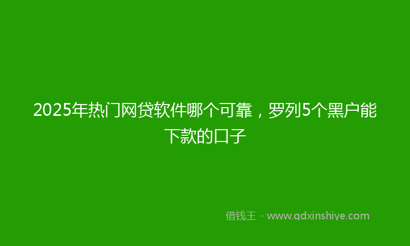2025年热门网贷软件哪个可靠，罗列5个黑户能下款的口子