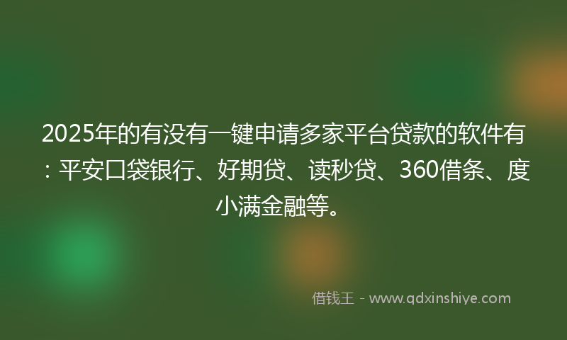 2025年的有没有一键申请多家平台贷款的软件有：平安口袋银行、好期贷、读秒贷、360借条、度小满金融等。