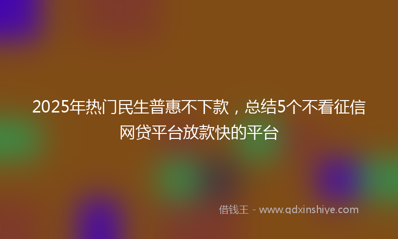 2025年热门民生普惠不下款，总结5个不看征信网贷平台放款快的平台