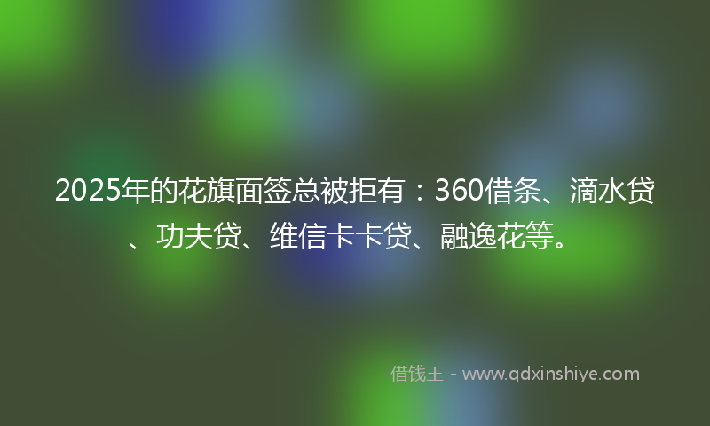 2025年的花旗面签总被拒有：360借条、滴水贷、功夫贷、维信卡卡贷、融逸花等。