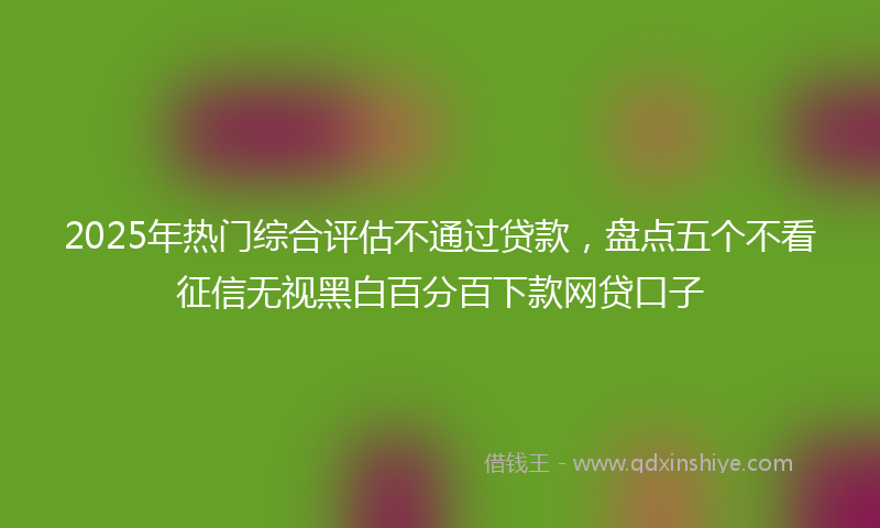 2025年热门综合评估不通过贷款，盘点五个不看征信无视黑白百分百下款网贷口子