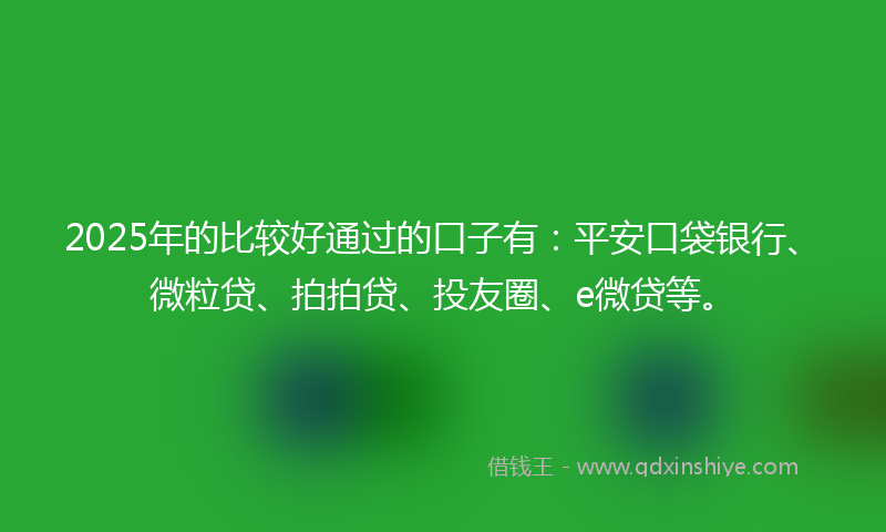 2025年的比较好通过的口子有：平安口袋银行、微粒贷、拍拍贷、投友圈、e微贷等。