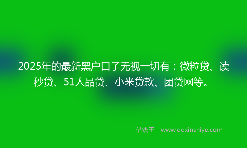 2025年的最新黑户口子无视一切有：微粒贷、读秒贷、51人品贷、小米贷款、团贷网等。
