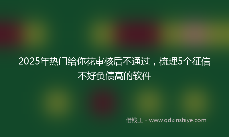2025年热门给你花审核后不通过，梳理5个征信不好负债高的软件