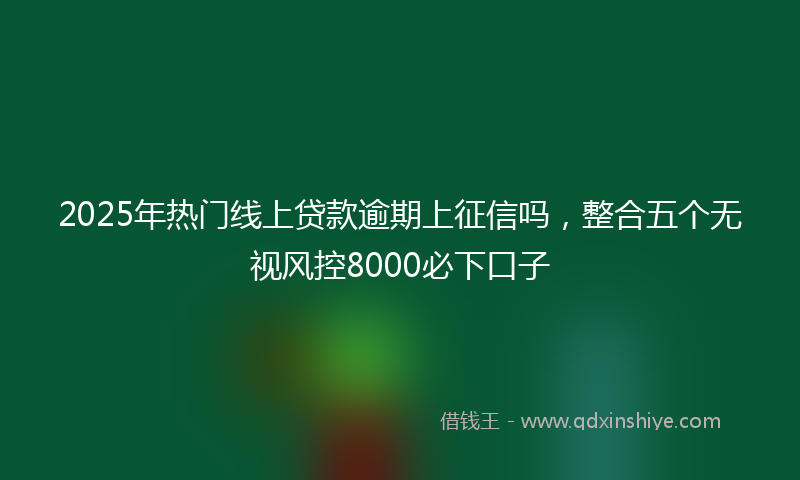 2025年热门线上贷款逾期上征信吗，整合五个无视风控8000必下口子