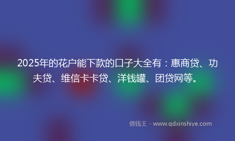 2025年的花户能下款的口子大全有：惠商贷、功夫贷、维信卡卡贷、洋钱罐、团贷网等。