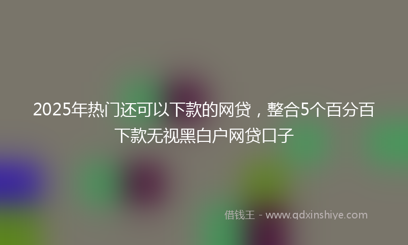 2025年热门还可以下款的网贷，整合5个百分百下款无视黑白户网贷口子