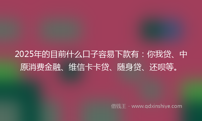 2025年的目前什么口子容易下款有：你我贷、中原消费金融、维信卡卡贷、随身贷、还呗等。