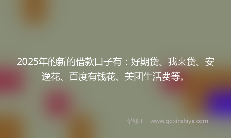 2025年的新的借款口子有：好期贷、我来贷、安逸花、百度有钱花、美团生活费等。