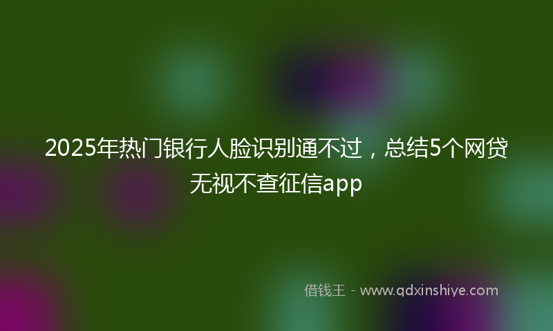 2025年热门银行人脸识别通不过，总结5个网贷无视不查征信app