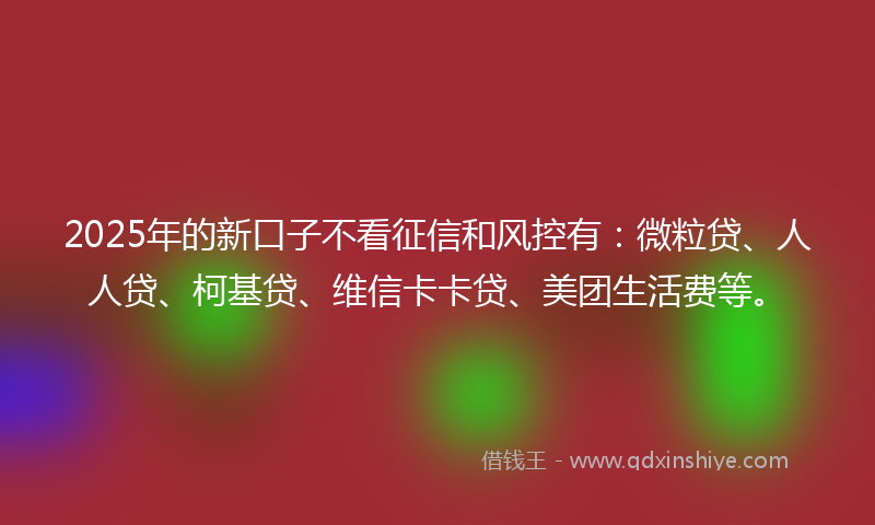 2025年的新口子不看征信和风控有：微粒贷、人人贷、柯基贷、维信卡卡贷、美团生活费等。