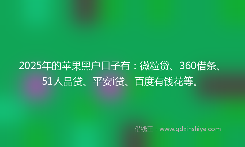 2025年的苹果黑户口子有：微粒贷、360借条、51人品贷、平安i贷、百度有钱花等。