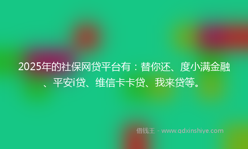 2025年的社保网贷平台有：替你还、度小满金融、平安i贷、维信卡卡贷、我来贷等。