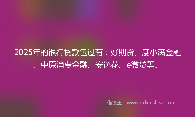 2025年的银行贷款包过有：好期贷、度小满金融、中原消费金融、安逸花、e微贷等。